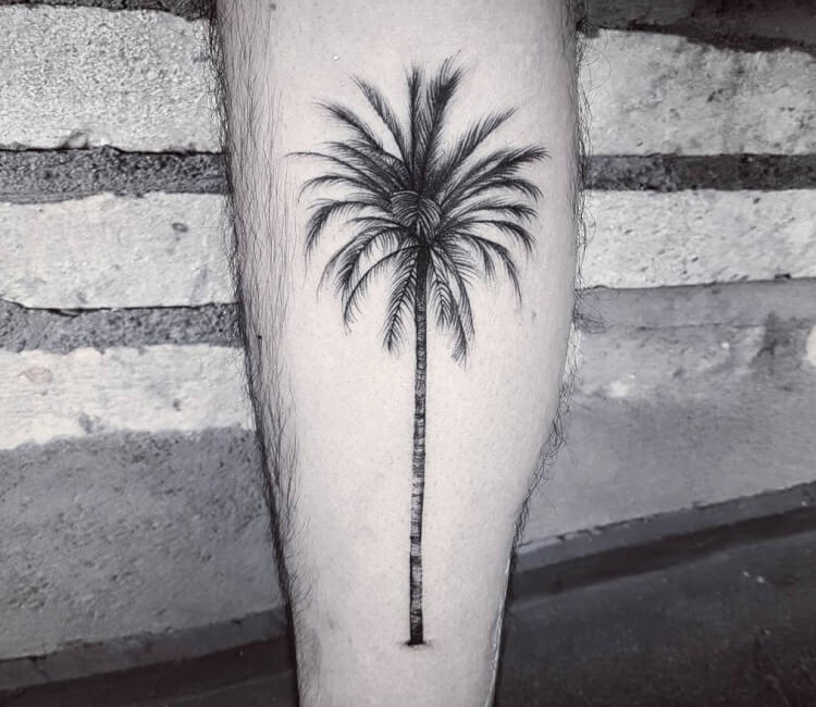 Palm Tree Tattoo Meaning  TattoosWin