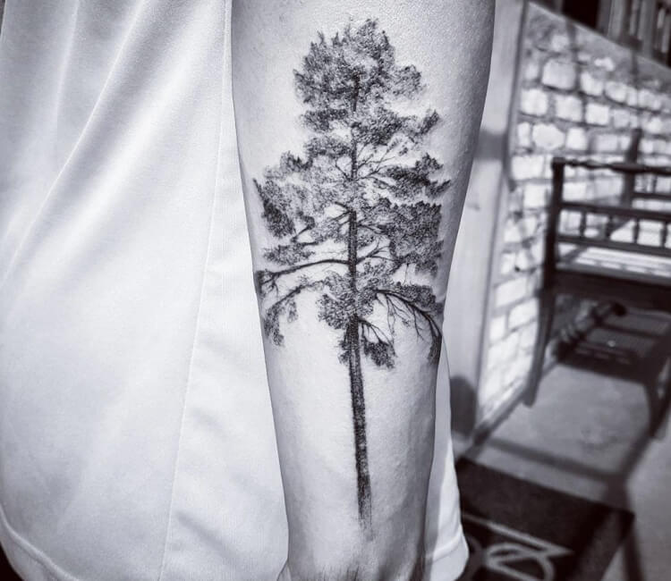 Tree tattoo by Felipe Kross | Post 27492