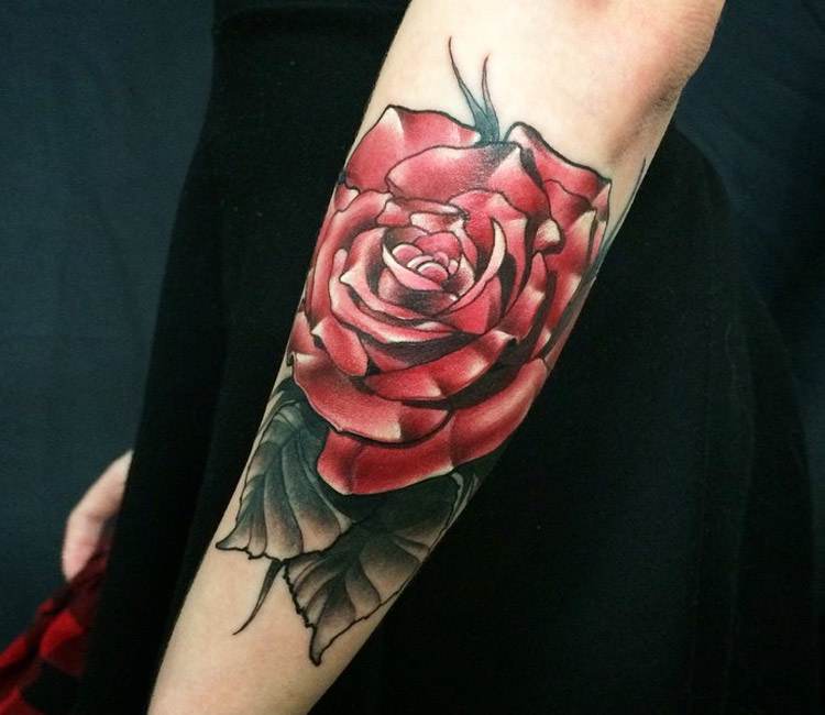 Edelweiss tattoo | Tatuajes populares, Tatoo flowers, Arte del tatuaje