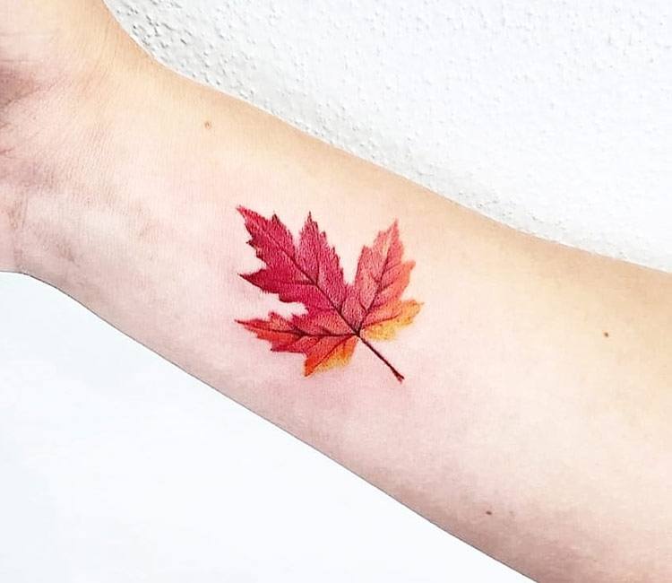 Maple Leaves Tattoo | Tattoos, Maple leaf tattoo, Maple leaf tattoos