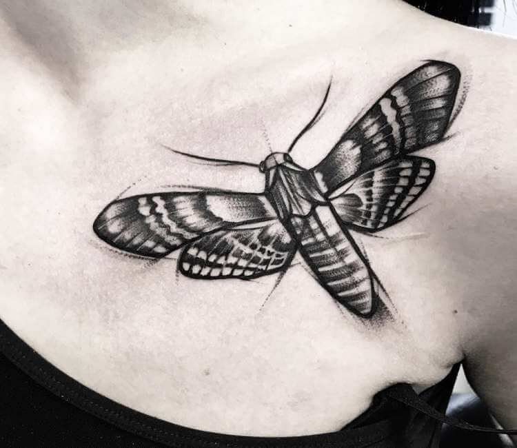 90 Moth Tattoos For Men  Nocturnal Insect Design Ideas