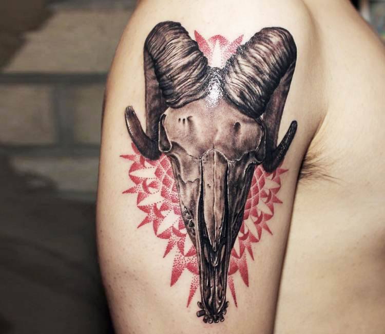 Discover more than 73 elephant skeleton tattoo  thtantai2