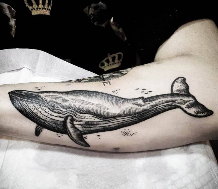 Whale Tattoo By Jackson Tattoo Post 172