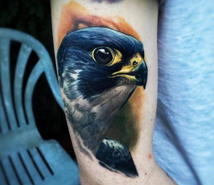 New] The 10 Best Tattoo Ideas Today (with Pictures) - Peregrine falcon Also  healed rose n stuff. #peregrinefalco… | Black and grey tattoos, Falcon  tattoo, Tattoos