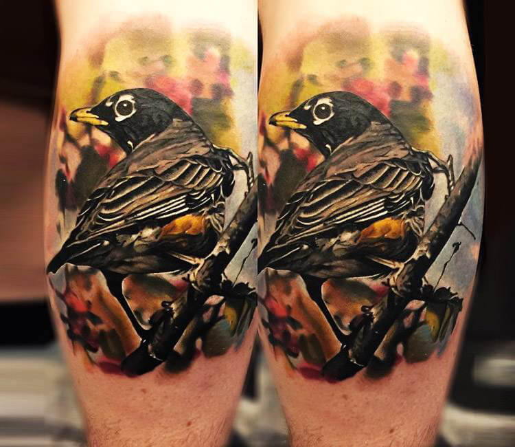 robin bird tattoo | Discover