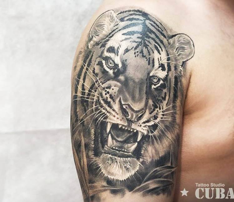 Tiger tattoo by Karina Cubatattoo | Post 15157