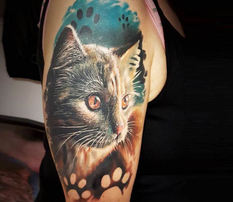 Mike DeVries  Tattoos  Nature Animal Cat  Cat Tattoos