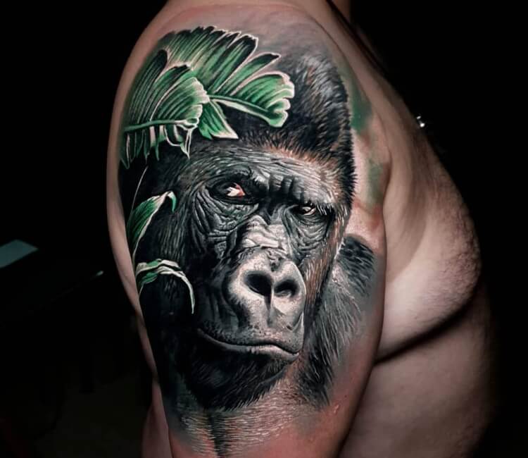 Art Immortal Tattoo  Tattoos  Animal  New traditional gorilla with gold  tooth tattoo on chest