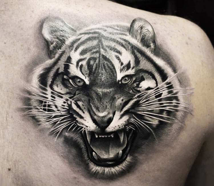 Tattoo uploaded by forgonymisi  Tiger roaring tiger and leaves  Tattoodo