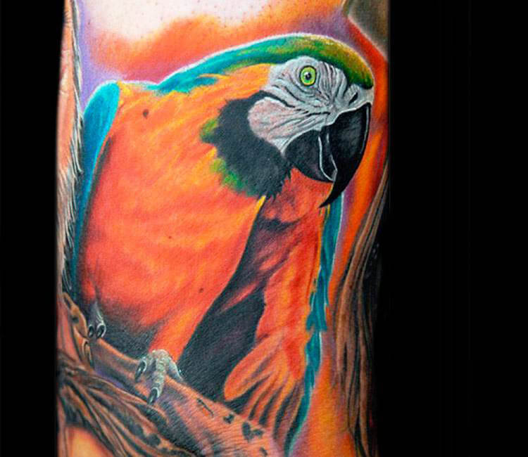 Venetian Tattoo Gathering : Tattoos : Nature Animal Wildlife : Realistic  Color Parrot half sleeve