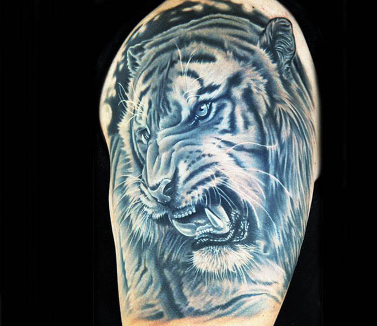 Free Images  lion wall design tattoo carnivore felidae big cats  symbol active shirt siberian tiger roar 3024x3024  CARMEN FREIRE   1636409  Free stock photos  PxHere