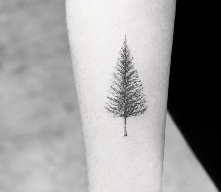 White Pine Tree Tattoos