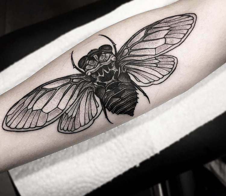 Electric City Tattoo Scranton on Instagram Traditional style fly done by  bobshock