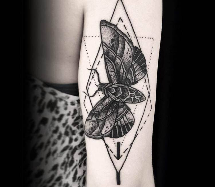 Death Head Hawk Moth Tattoo Vector Images 56