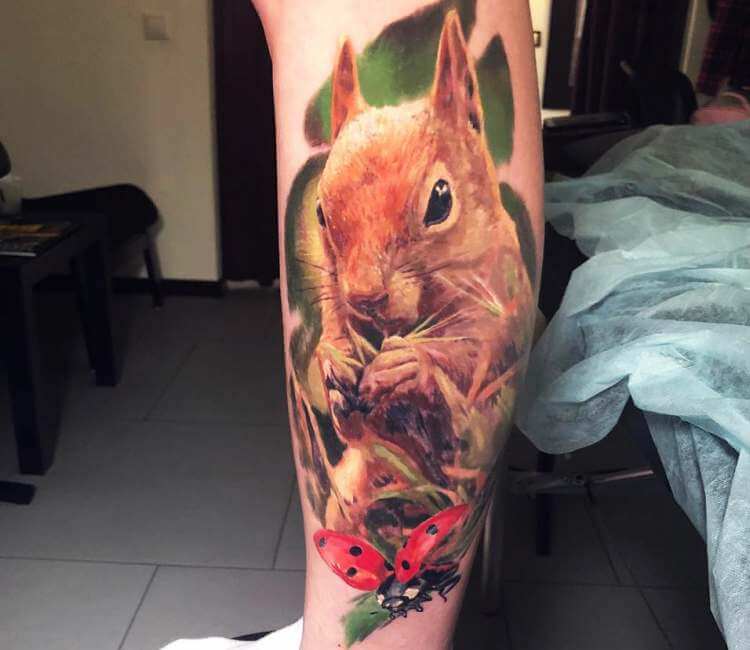 Red Squirrel by Courtney at Moving Shadow Milwaukee : r/tattoos