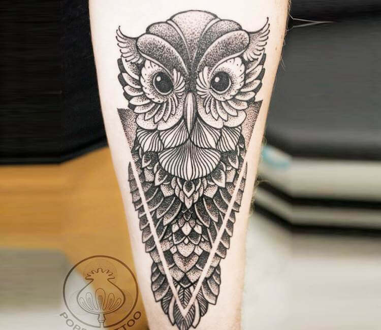 owl on white background tattoo