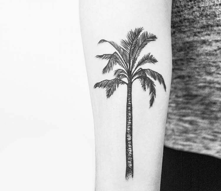 35 Breathtaking Palm Tree Tattoo Design Ideas