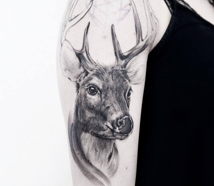Pin by Richard Gubicskó on szarvas  Deer head tattoo Antler tattoos Stag  tattoo design