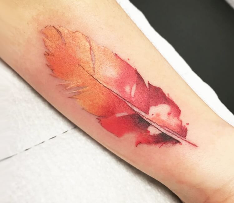 Quill Feather Pen Temporary Tattoo Sticker - OhMyTat