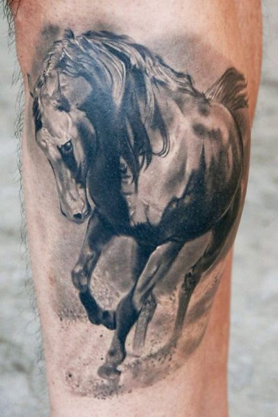 Fresh memorial portrait of my 33 year old horse. Done by Tall Paul at Old  School Tattoo. Bellingham, WA : r/tattoos