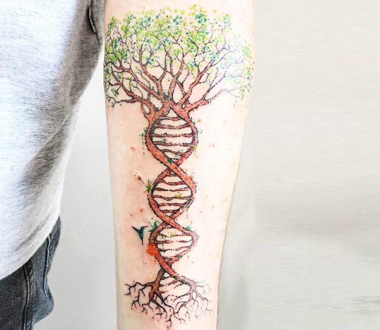 Darwins tree of life with DNA double helix  Dr Z  Laughing Hyena Tattoos  Wash DC  rtattoos