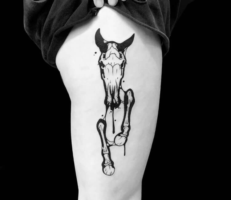 100 Horse Skeleton Side Tattoo Design For Women female png  jpg  2023