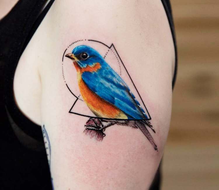 Graceful Kingfisher On Womans Arm
