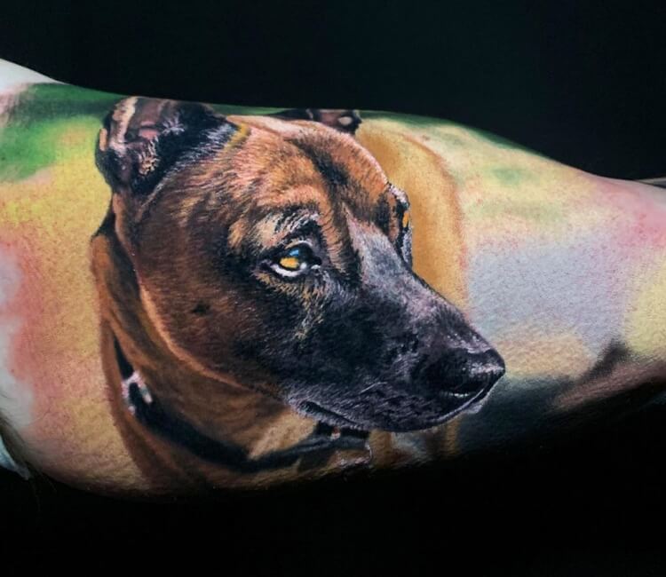 X  Killer Ink Tattoo در X Awesome dog portrait by Steve Butcher with  killerinktattoo supplies killerink tattoo tattoos bodyart ink  tattooartist tattooink tattooart httpstcoofP9qmHZpy