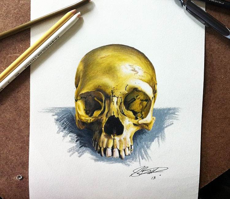 Skull drawing : r/drawing