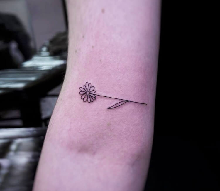 Minimalist Blown Dandelion Temporary Tattoo - Set of 3 – Tatteco