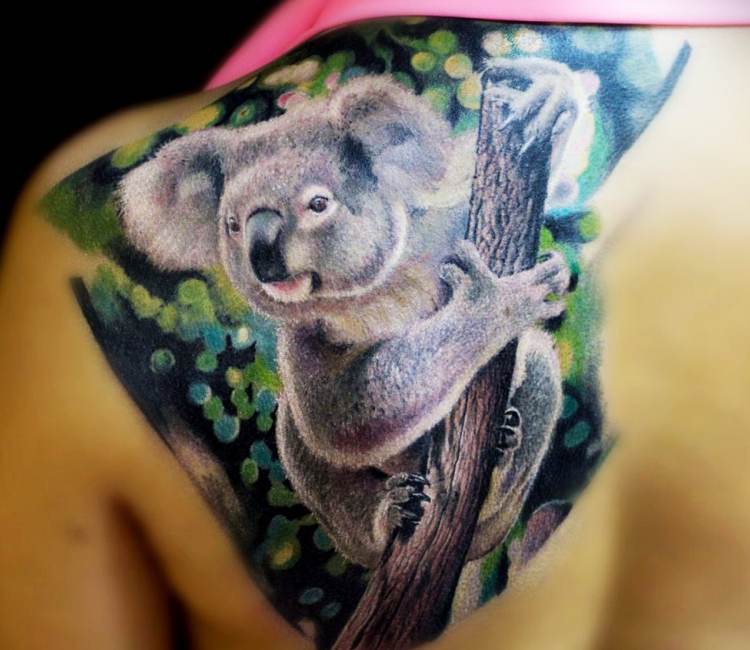 Koala Tattoo Images Browse 792 Stock Photos  Vectors Free Download with  Trial  Shutterstock