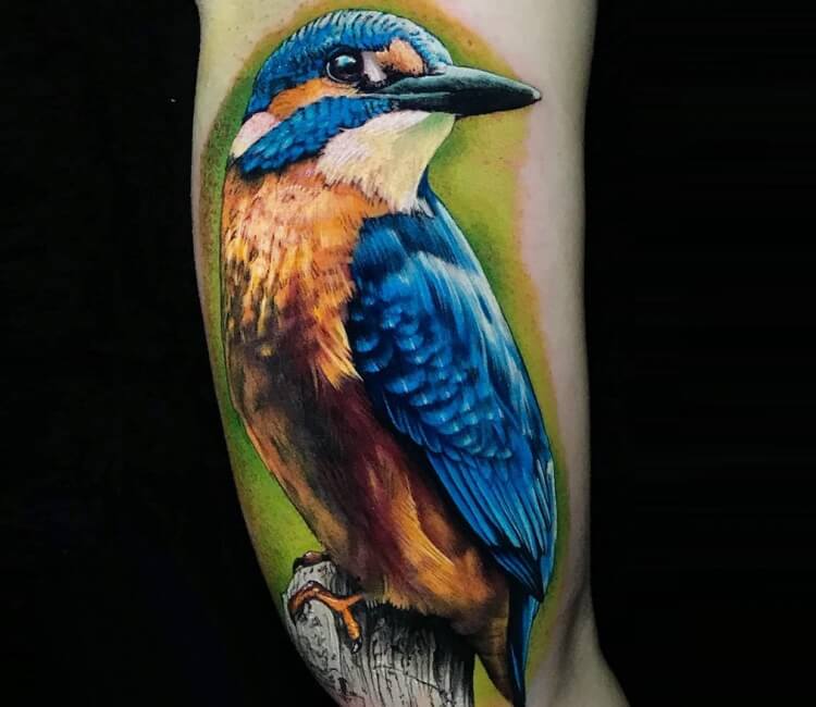 Finally got my kingfisher fixed- Dan Greuling, The Human Condition in  Pembroke, NH : r/tattoos