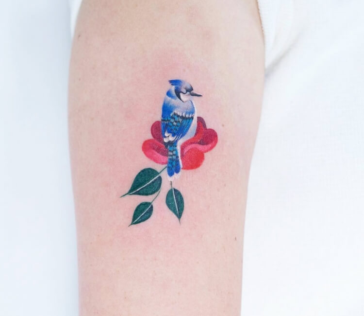 In our opinion these 10 blue jay tattoos are the best