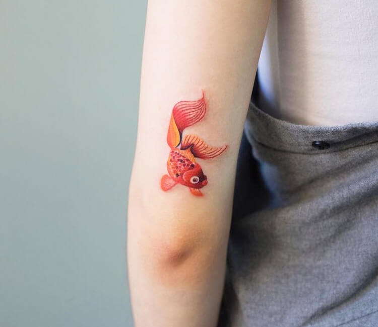 Lizards Skin Tattoos  THIS COLORFUL AND ADORABLE GOLDFISH TATTOO WAS DONE  WITH PRECISION BY OUR RESIDENT ARTIST PRITHWIRAJ  Share if you like  Artist Prithwiraj prithwirajlizardsskintattoos  Address Studio 1 Opp